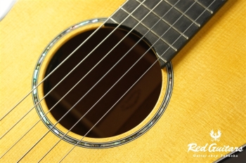 00-Nylon w/FISHMAN Matrix VT Enhance